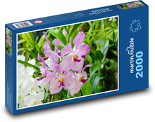 Růžová orchidej - květ, rostlina Puzzle 2000 dílků - 90 x 60 cm