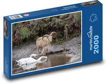 Ovce - labuť, zvieratá Puzzle 2000 dielikov - 90 x 60 cm