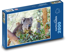 Koala auf einem Baum - Beuteltier, Tier Puzzle 2000 Teile - 90 x 60 cm