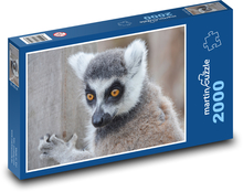 Lemur - divoká zvěř, Madagaskar  Puzzle 2000 dílků - 90 x 60 cm