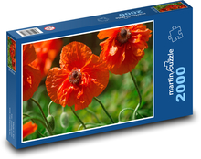 Vlčí mák - červené květy, louka Puzzle 2000 dílků - 90 x 60 cm