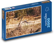 Pniak - las, przyroda Puzzle 2000 elementów - 90x60 cm