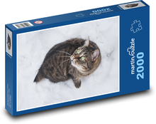 Kočka ve sněhu - domácí mazlíček, zima Puzzle 2000 dílků - 90 x 60 cm