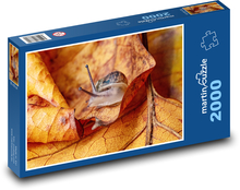 Schnecke - Garten, Herbst Puzzle 2000 Teile - 90 x 60 cm