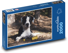 Roztomilý pes - maznáčik, vonku Puzzle 2000 dielikov - 90 x 60 cm