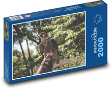 Falke - Vogel, Raubtier Puzzle 2000 Teile - 90 x 60 cm