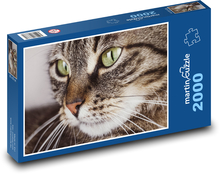 Mourek - kočka, vousky Puzzle 2000 dílků - 90 x 60 cm