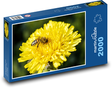 Včela na květině - pampeliška, žlutý květ Puzzle 2000 dílků - 90 x 60 cm