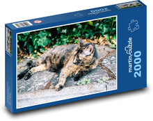 Strakatá mačka - maznáčik, odpočívať Puzzle 2000 dielikov - 90 x 60 cm