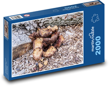Pilz - Natur, Wald Puzzle 2000 Teile - 90 x 60 cm