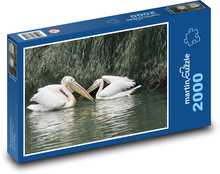 Pelikány - vodné vtáctvo, jazero Puzzle 2000 dielikov - 90 x 60 cm