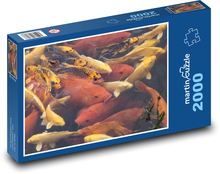Koi ryba - rybník, zvieratá Puzzle 2000 dielikov - 90 x 60 cm
