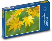 Ahornblätter - Herbstlaub, Baum Puzzle 2000 Teile - 90 x 60 cm