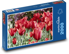 Czerwone tulipany - kwiaty, kwiaty Puzzle 2000 elementów - 90x60 cm