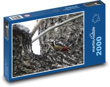 Specht - Vogel, Tier Puzzle 2000 Teile - 90 x 60 cm