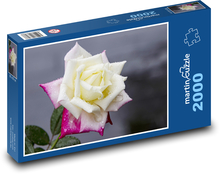 Rosenblume - Blume, rosa Blume Puzzle 2000 Teile - 90 x 60 cm