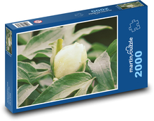 Weiße Pfingstrose - Garten, Blume Puzzle 2000 Teile - 90 x 60 cm
