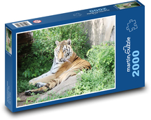 Tygr - zvíře, zoo  Puzzle 2000 dílků - 90 x 60 cm