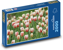 Tulips - garden, flowers Puzzle 2000 pieces - 90 x 60 cm