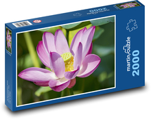Lotos - kwiat, płatki Puzzle 2000 elementów - 90x60 cm
