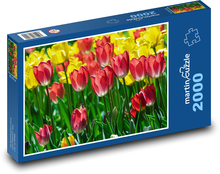Tulpenfeld - gelbe Blumen, Blumen Puzzle 2000 Teile - 90 x 60 cm