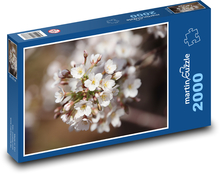 Třešňové květy - sakura, třešně Puzzle 2000 dílků - 90 x 60 cm