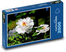 Bílé pivoňky - květy, zahrada Puzzle 2000 dílků - 90 x 60 cm