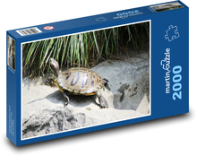 Korytnačka - vodný živočích, plaz Puzzle 2000 dielikov - 90 x 60 cm