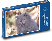 Hauskatze - Säugetier. Haustier Puzzle 2000 Teile - 90 x 60 cm