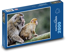 Barbarští makakové - opice, mládě Puzzle 2000 dílků - 90 x 60 cm