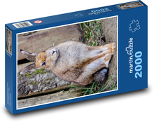 Irish hare - mammal, herbivore Puzzle 2000 pieces - 90 x 60 cm