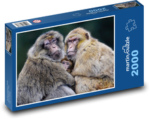 Berberaffen - Makaken, Familie Puzzle 2000 Teile - 90 x 60 cm