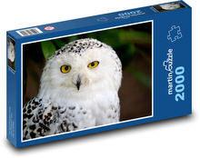 Schneeeule - weiße Eule, Vogel Puzzle 2000 Teile - 90 x 60 cm