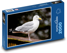 Silbermöwe - Vogel, Federn Puzzle 2000 Teile - 90 x 60 cm
