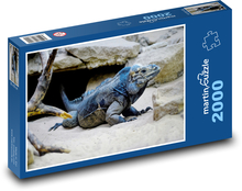 Iguana - reptile, rock Puzzle 2000 pieces - 90 x 60 cm