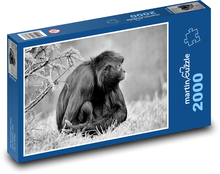 Monkey - primate, mammal Puzzle 2000 pieces - 90 x 60 cm