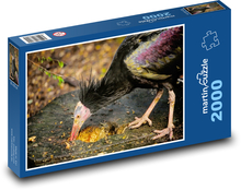 Ibis - Vogel, Tier Puzzle 2000 Teile - 90 x 60 cm