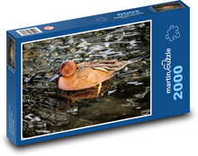 Kaczka - ptak wodny, jezioro Puzzle 2000 elementów - 90x60 cm