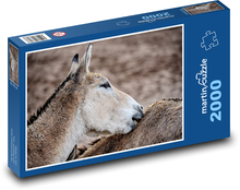Turkmenischer Kulan - Esel, Tier Puzzle 2000 Teile - 90 x 60 cm