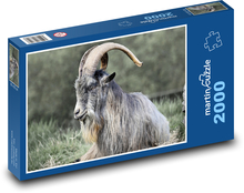 Irische Ziege - Tier, Säugetier Puzzle 2000 Teile - 90 x 60 cm