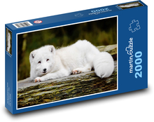 Liška polární - sněžná liška, zvíře Puzzle 2000 dílků - 90 x 60 cm