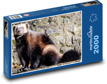 Wolverine - carnivore, animal Puzzle 2000 pieces - 90 x 60 cm