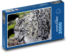 Leopard - zvíře, savec Puzzle 2000 dílků - 90 x 60 cm