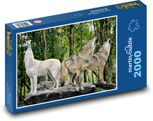 Wölfe - heulende Wölfe, Raubtiere Puzzle 2000 Teile - 90 x 60 cm