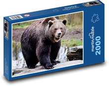 Medvěd hnědý - lovec, zvíře Puzzle 2000 dílků - 90 x 60 cm
