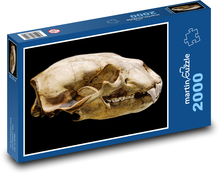 Lebka ledního medvěda - zvíře, savec Puzzle 2000 dílků - 90 x 60 cm