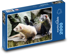 Fretky - zvieratá, cicavce Puzzle 2000 dielikov - 90 x 60 cm