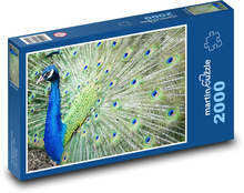 Páv - vták, farebné perie Puzzle 2000 dielikov - 90 x 60 cm