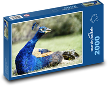 Pfau - Vogel, Federn Puzzle 2000 Teile - 90 x 60 cm
