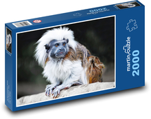 Tamarín - opice, zvíře Puzzle 2000 dílků - 90 x 60 cm